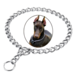 dog harness belt in kanpur